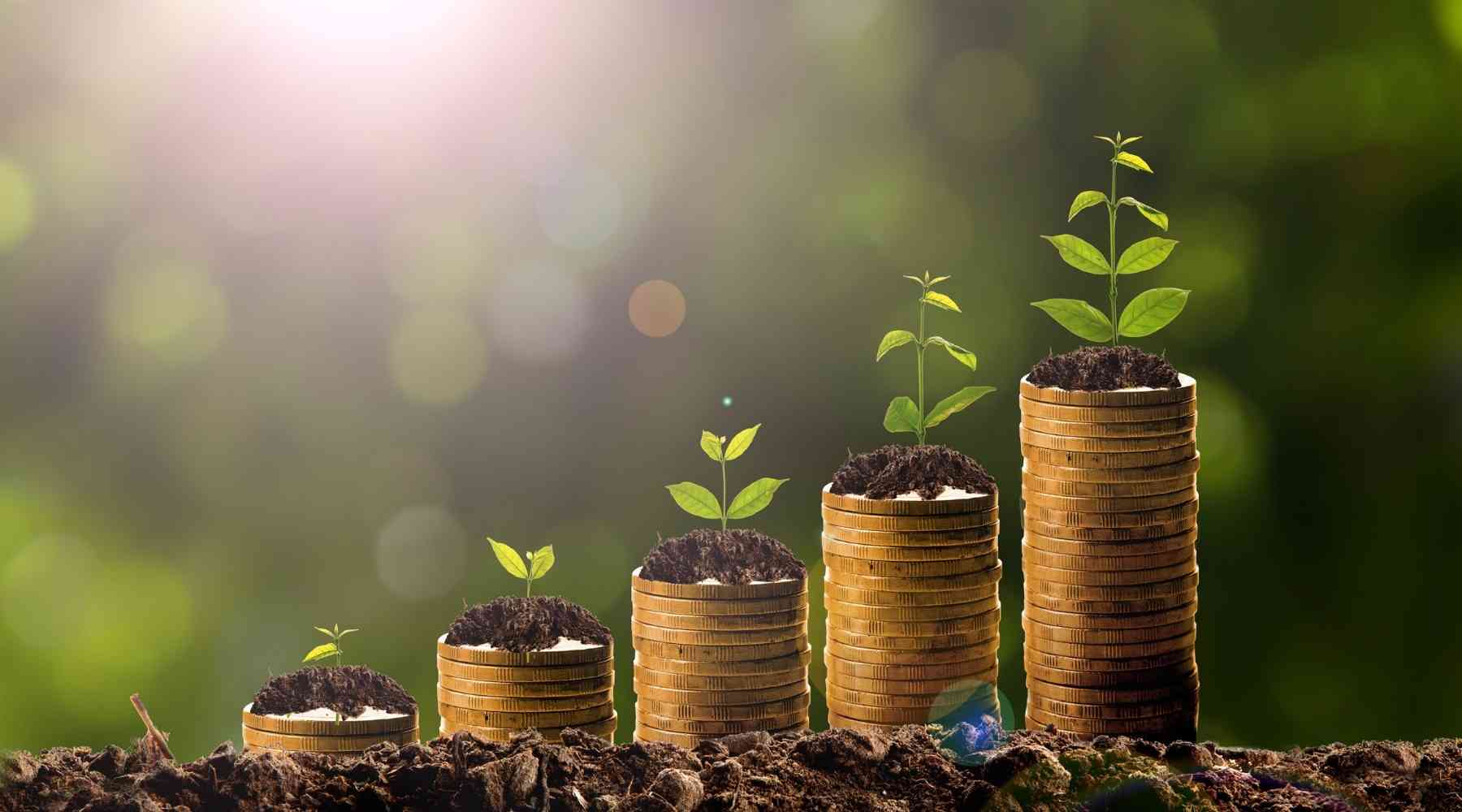 20 Best Compound Interest Investments (August 2022 Guide)