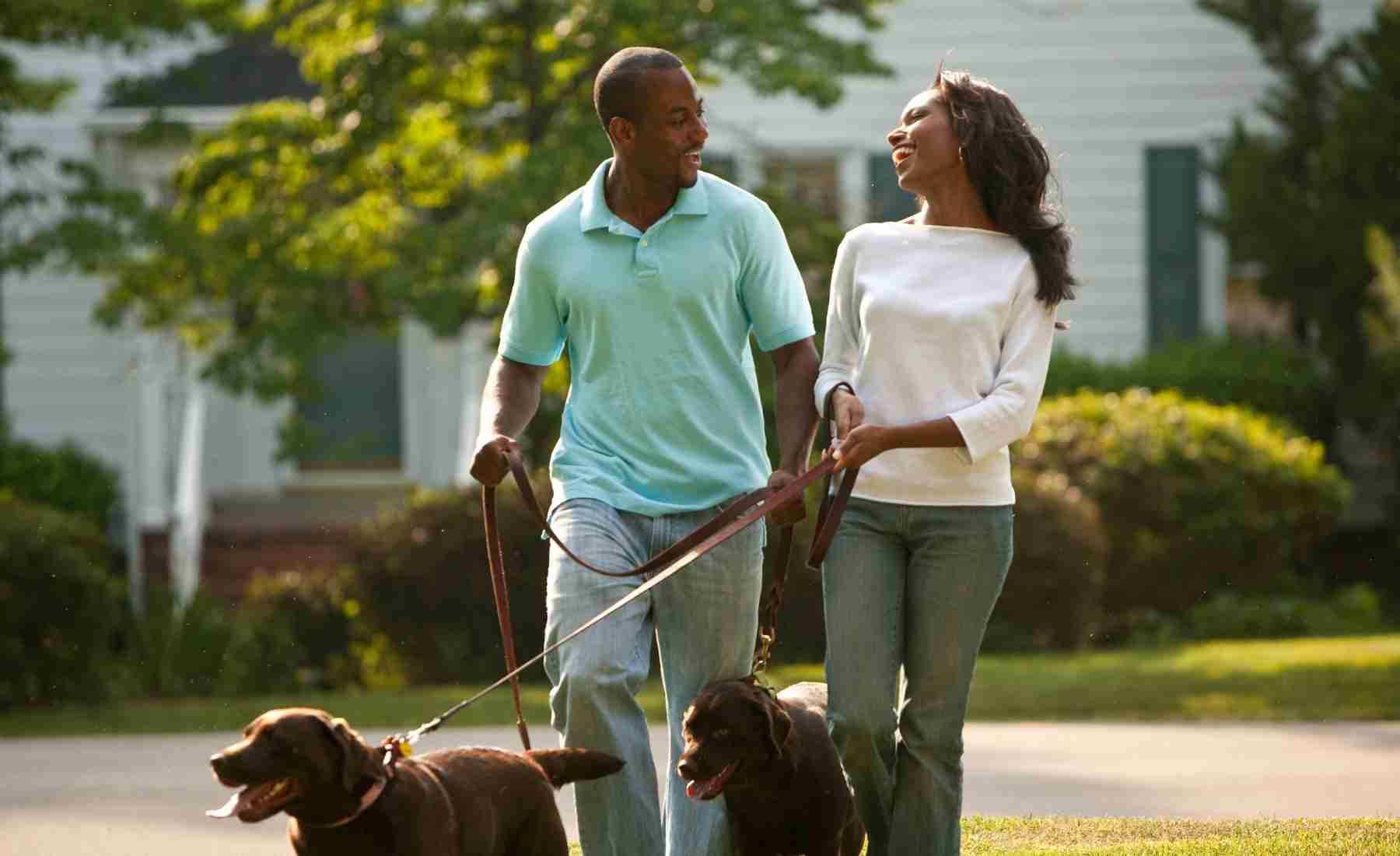 Dog Walking for Couples